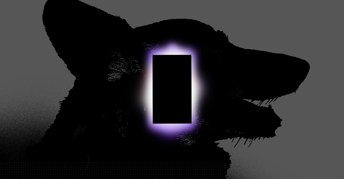 Robyn Caplan: Please Get Me Out of Dead-Dog TikTok