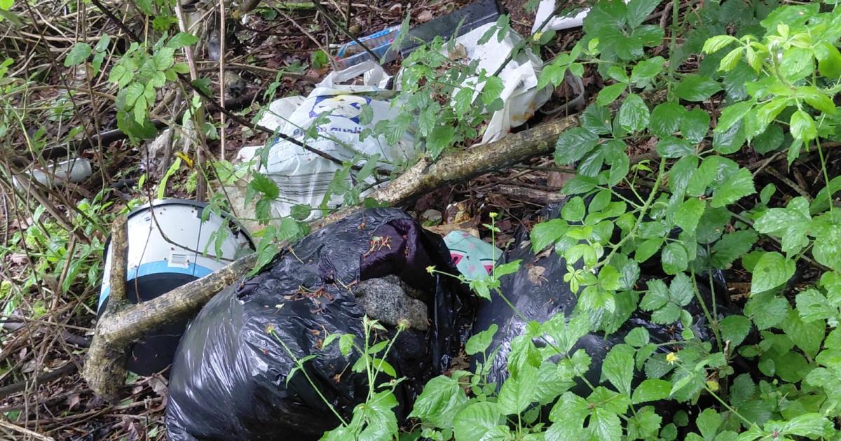 'Newport is the fly tipping capital of Wales'