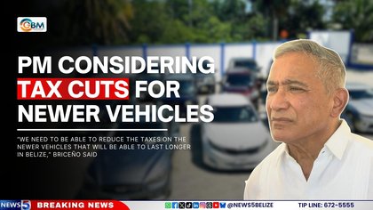 PM Considering Tax Cuts for Newer Vehicles