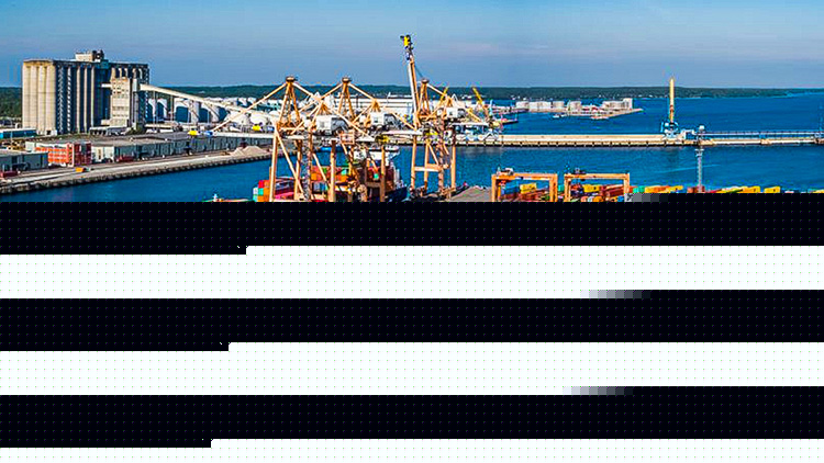 Opposition to make formal request for probe into controversial release of 323 containers