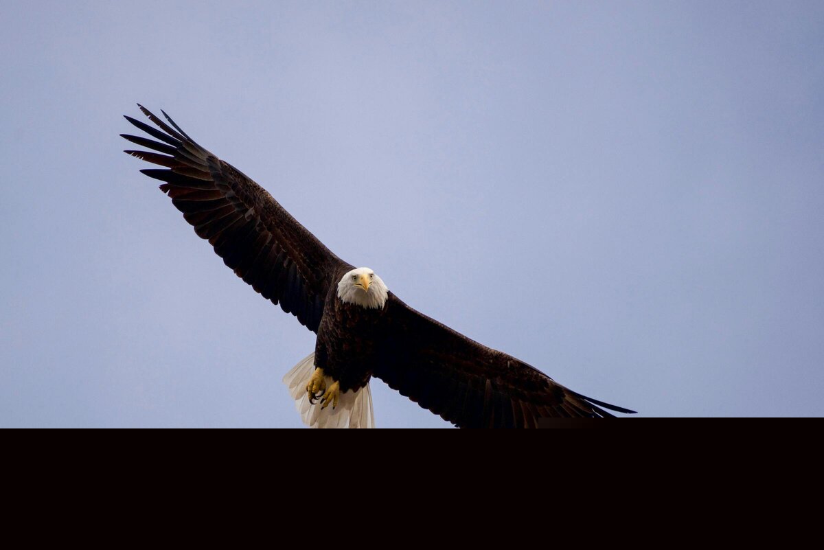 Freedom notes U.S.A.: Trash business fights The Man in Arkansas court