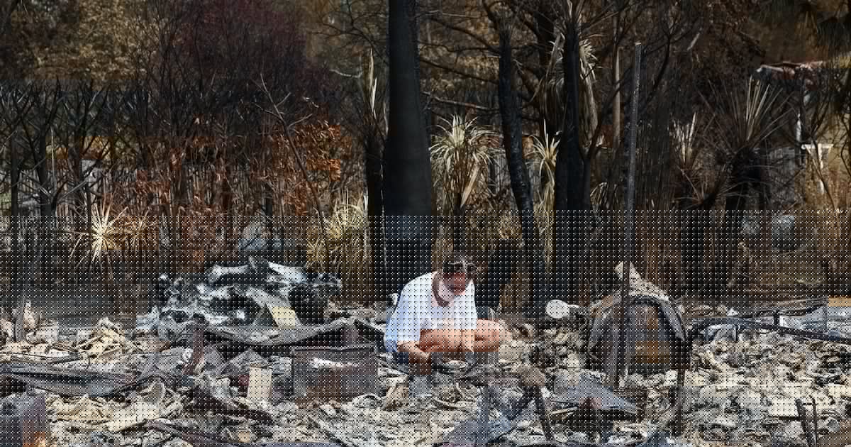 Wildfires Trigger Buried WWII Explosives in Terrifying Inferno