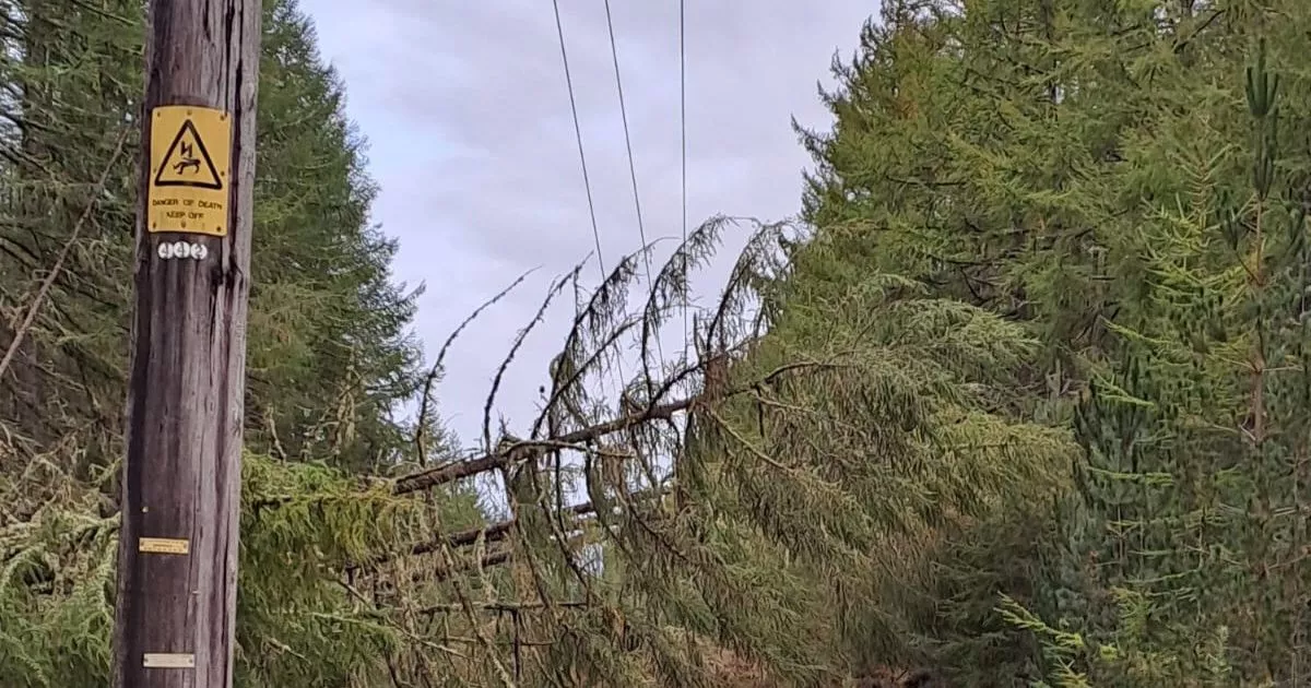 More than 40,000 homes still without power as Storm Amy sweeps across Scotland