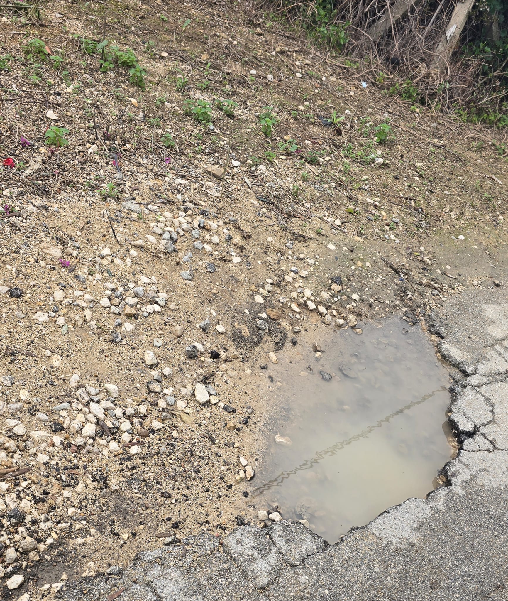 “Tra buche e stress: così le strade di Marsala mettono a rischio l’assistenza domiciliare”