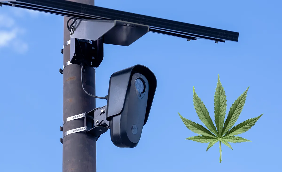 Flock Cameras Are the New Front in the War on Drugs, and Cannabis Reformers Must Fight Them