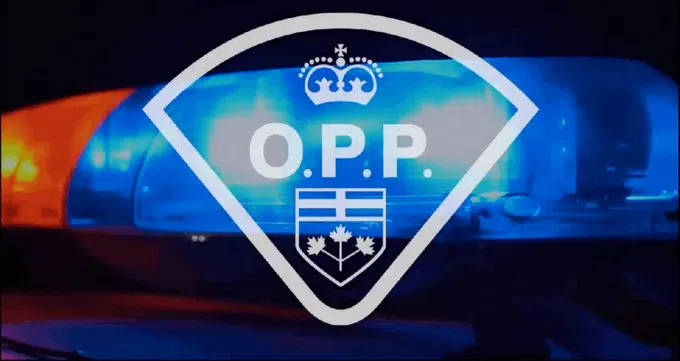 Human remains identified, no foul play suspected