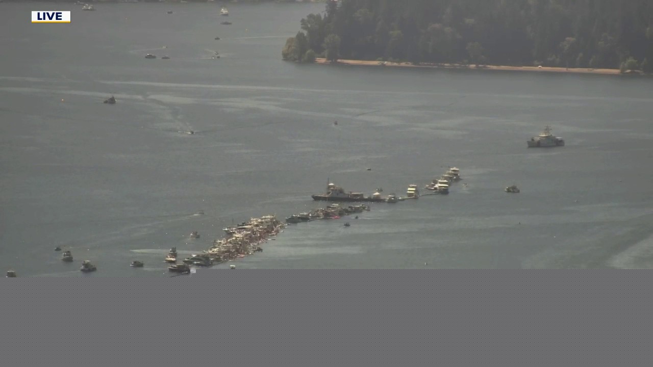 Zip Trips: Why 2026's log boom on Lake Washington is better than the rest