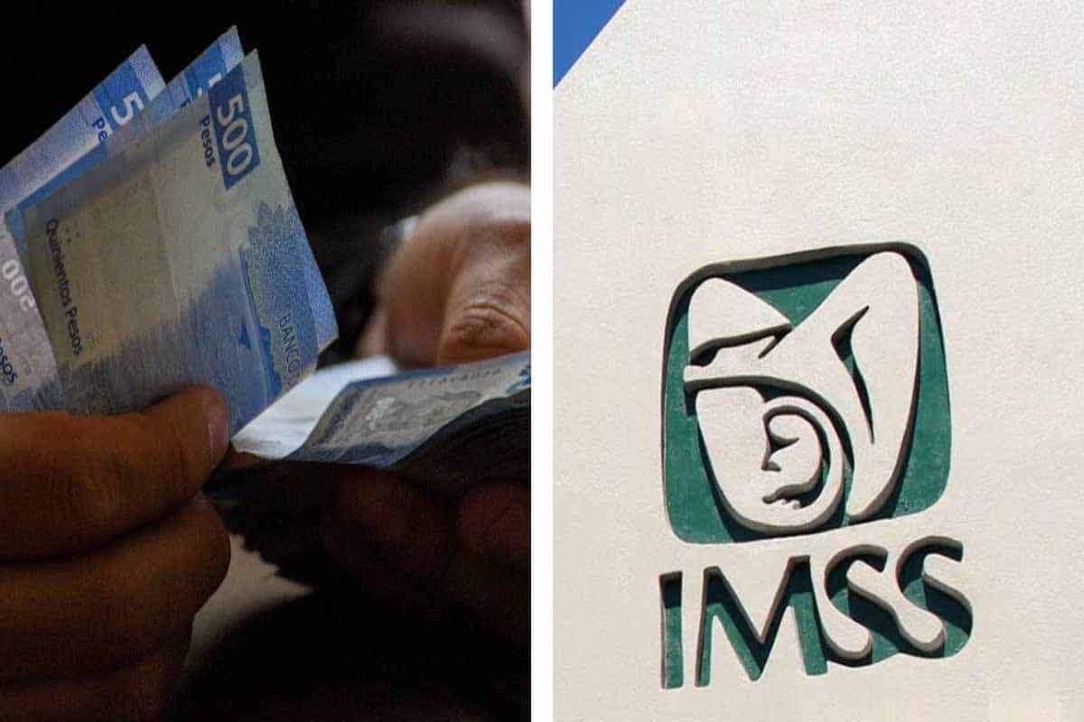 Instituto Mexicano del Seguro Social alerta fraude por afiliaciones falsas