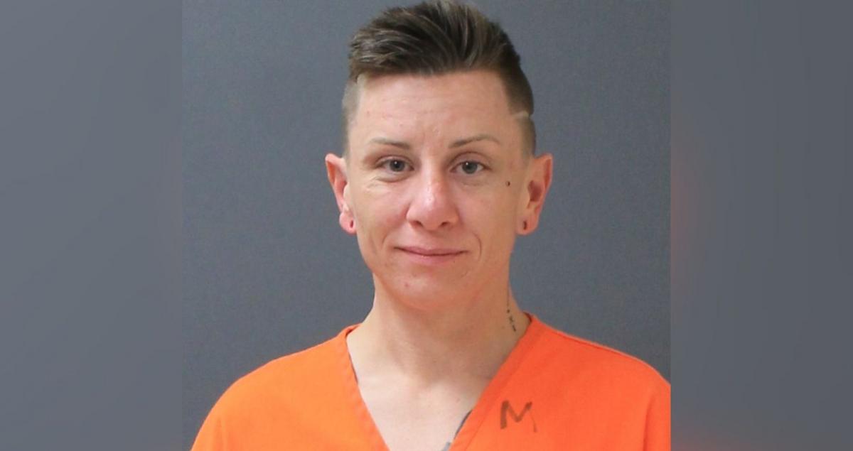 Dog Watcher Gets Prison Sentence for Rochester Home Theft