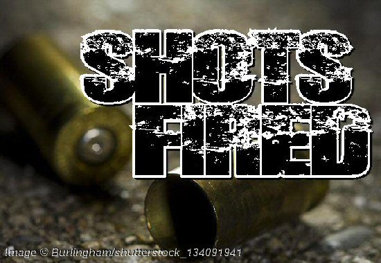 Dover Police Investigating Shots Fired into Residence