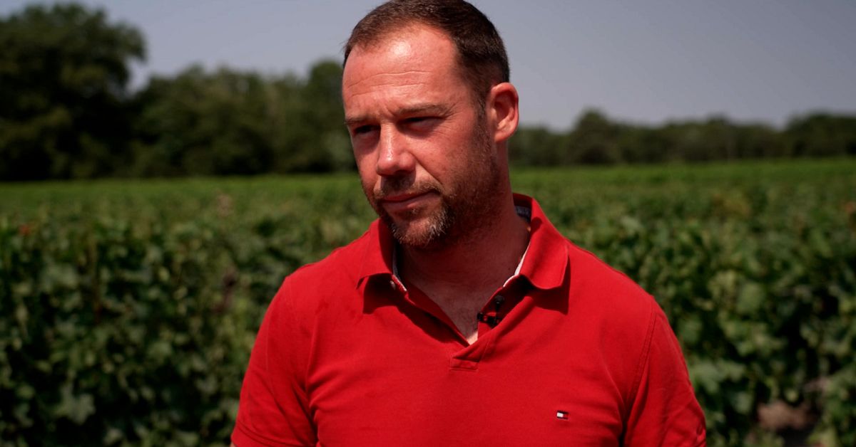 Branden hotar Bordeaux – men vinodlarna oroar sig mer för klimatet