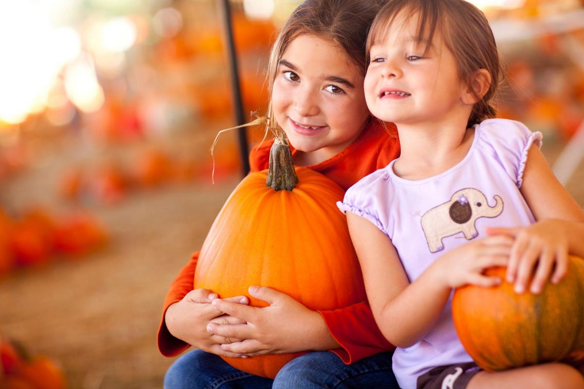 Start Finding The Best Pumpkin Patches In Iowa For 2025