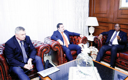 Cameroon, Ukraine Explore Cooperation on Agricultural Modernization