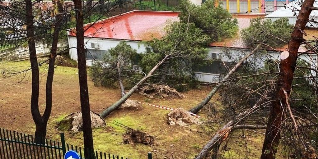 Kristin provoca destrozos en una decena de colegios de Córdoba: caídas de árboles, daños en fachadas y cubiertas, y roturas de cristales