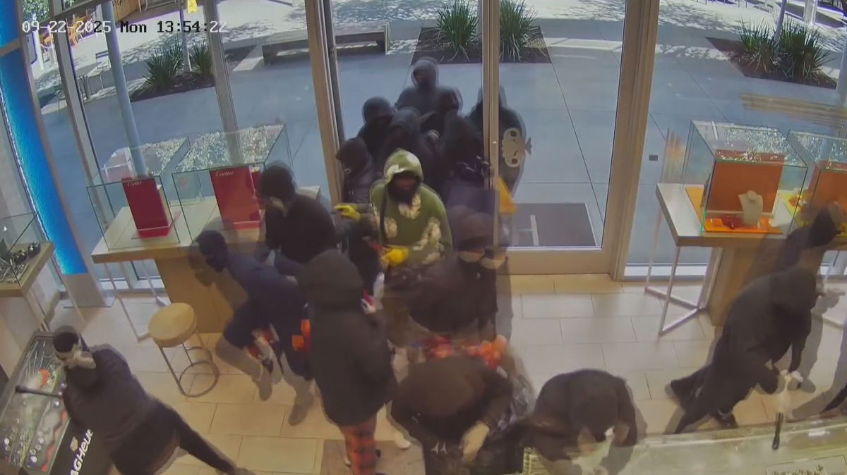 South Bay public safety leaders say region is safer as theft prosecutions are up