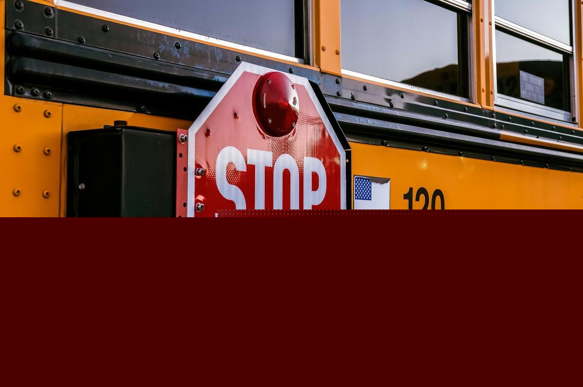 How to Avoid a $645 School Bus Ticket in Texarkana This Year