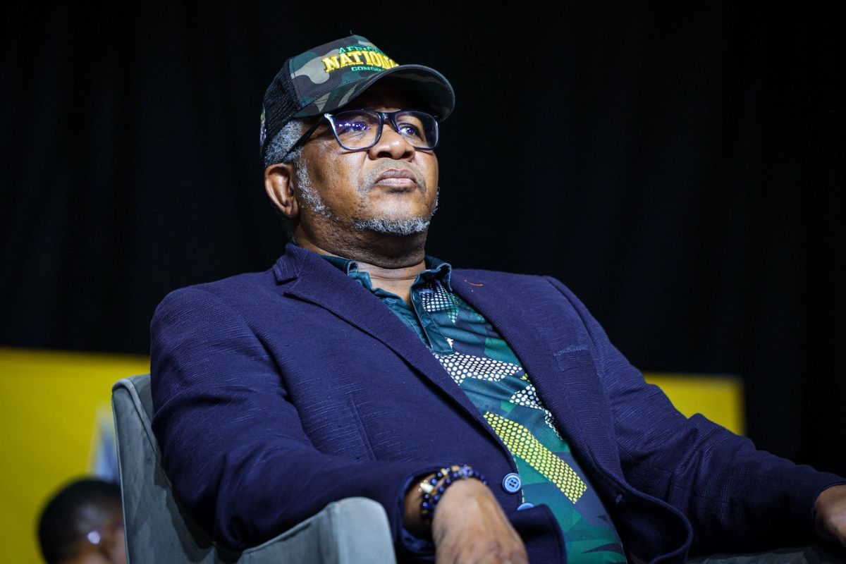 WATCH: Mbalula distances ANC from Senzo Mchunu-linked Brown Mogotsi