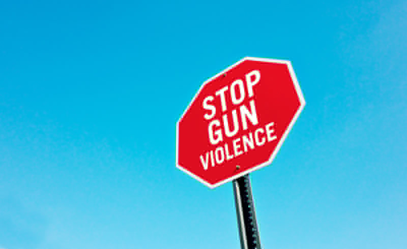 Comment on The Sick & Dangerous Firearms Culture of the United States by Mark Vallaster