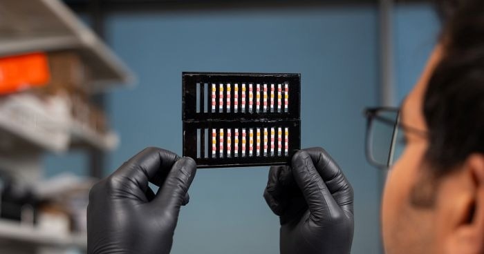 Low-Cost Paper Test for Detecting GM Corn and Soybean in the Field