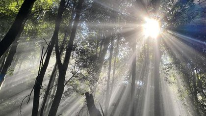 Blue Mountains National Park: Missing teenage boy found dead after camping trip tragedy
