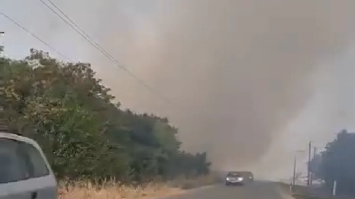 (VIDEO) CRNI OBLAK PREKRIO SREM, VIDLJIVOST DRASTIČNO SMANJENA! Dramatične scene kod Kupinova i Ašanje: Požar besni pored puta, hitno zatvorene pojedine deonice