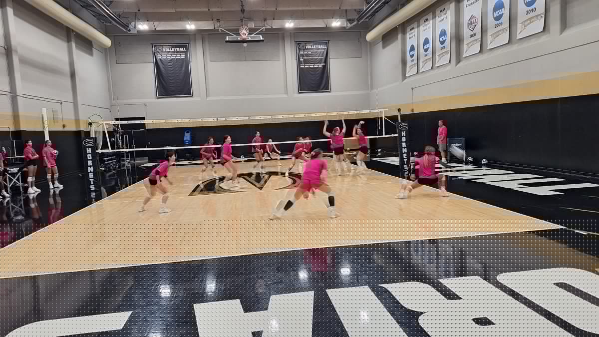 Lady Hornets Determined to Take Step on Volleyball Court in 2026
