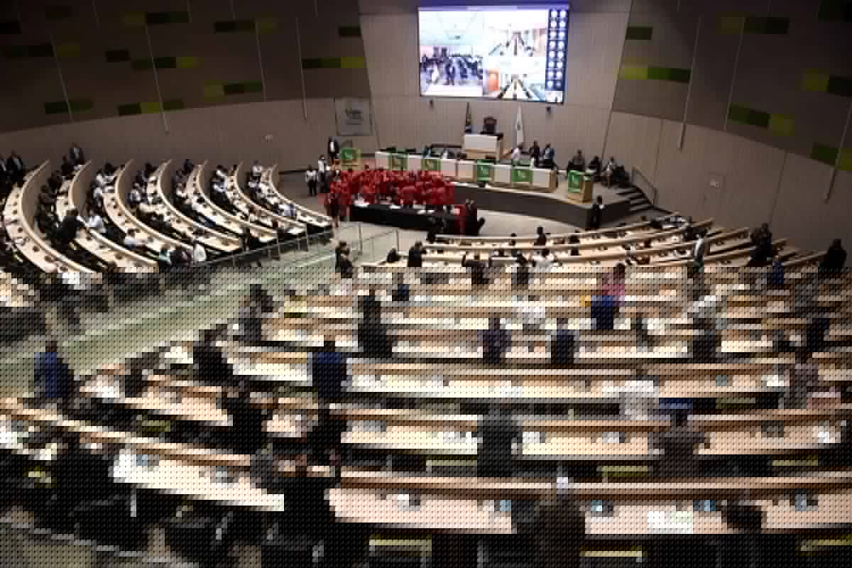 Gauteng speaker’s R6-million Venezuela trip sparks outrage