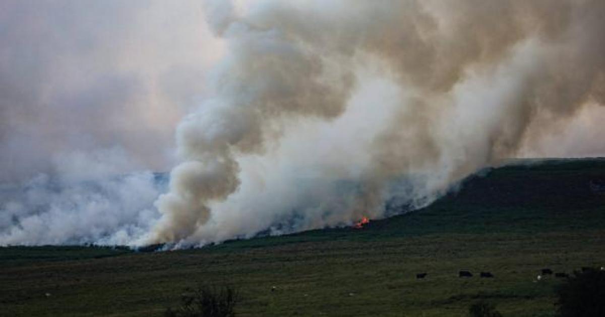 What should you do if wildfire smoke reaches your community?