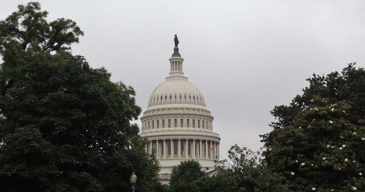 CT, NY senators won’t provide votes to avoid shutdown without ICE reform