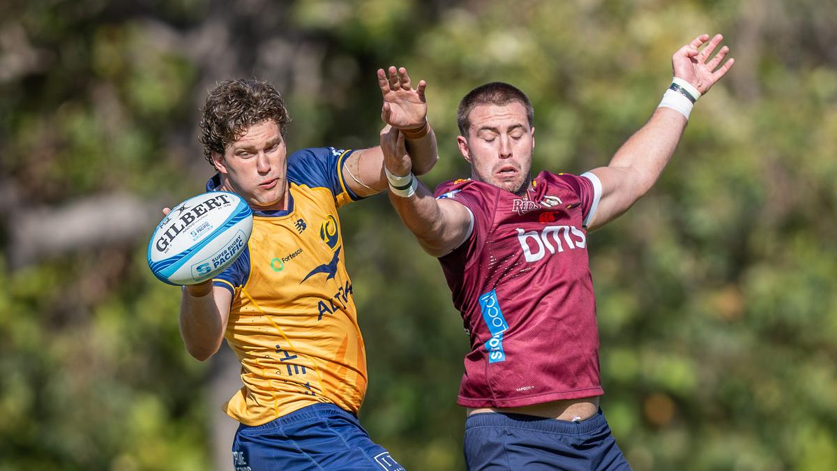 Super Rugby Pacific: Western Force back-rower Will Harris praises new assistants Brad Harris and Craig Dunlea