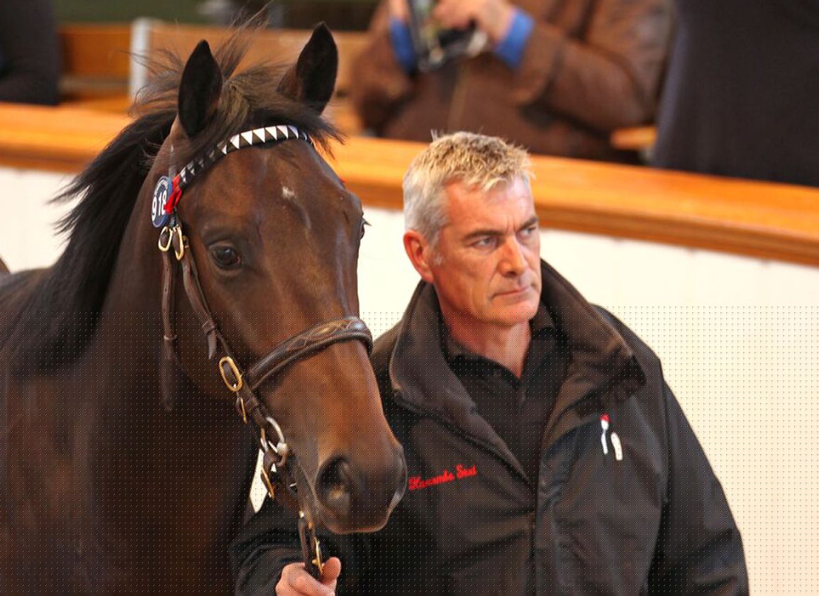 Steven Golding Retires From Hascombe And Valiant Stud After 40 Years