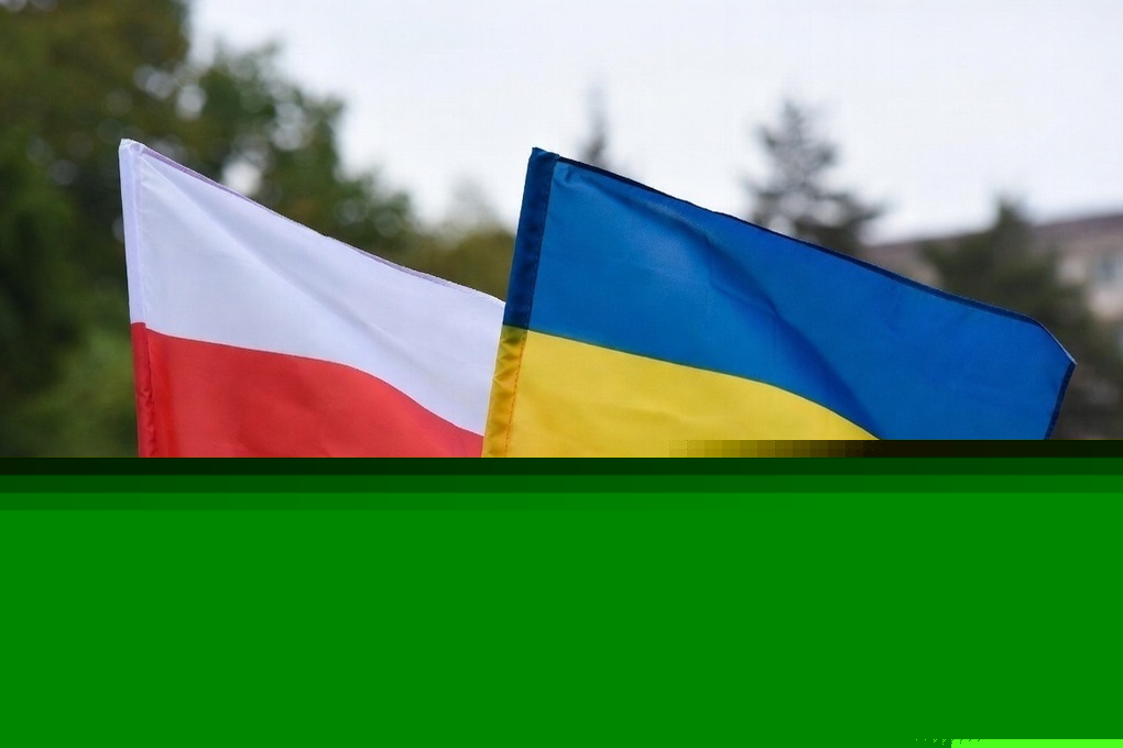 Доля поляков, выступающих за скорейший прием Украины в ЕС, упала до 9%