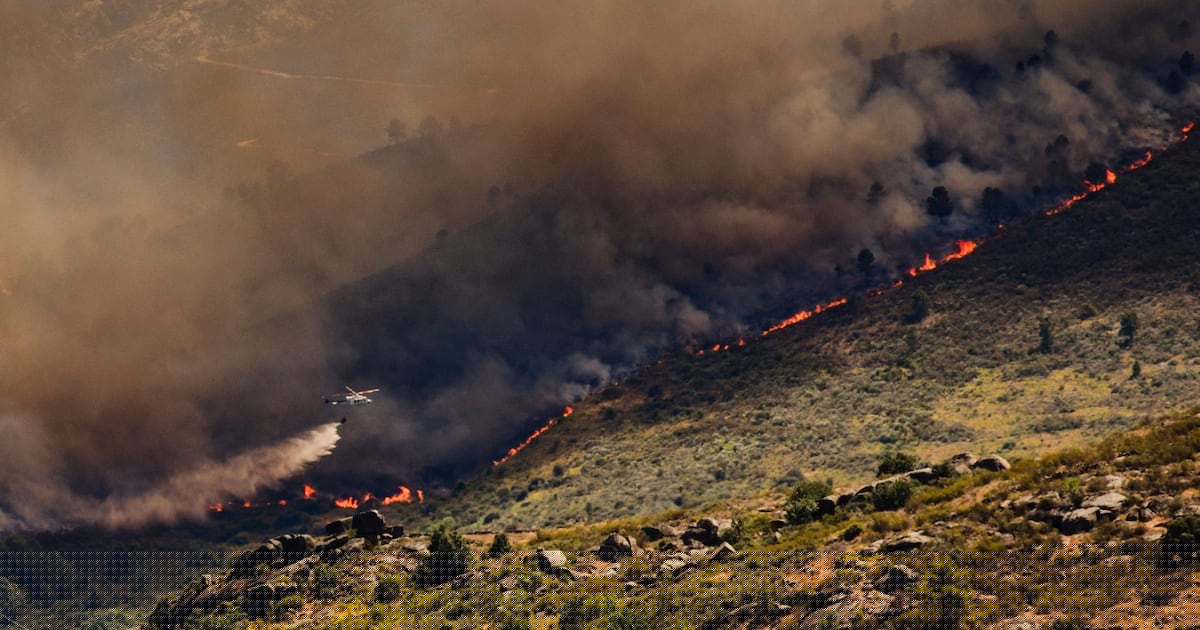 Tens of thousands of people flee raging wildfires in France and Spain
