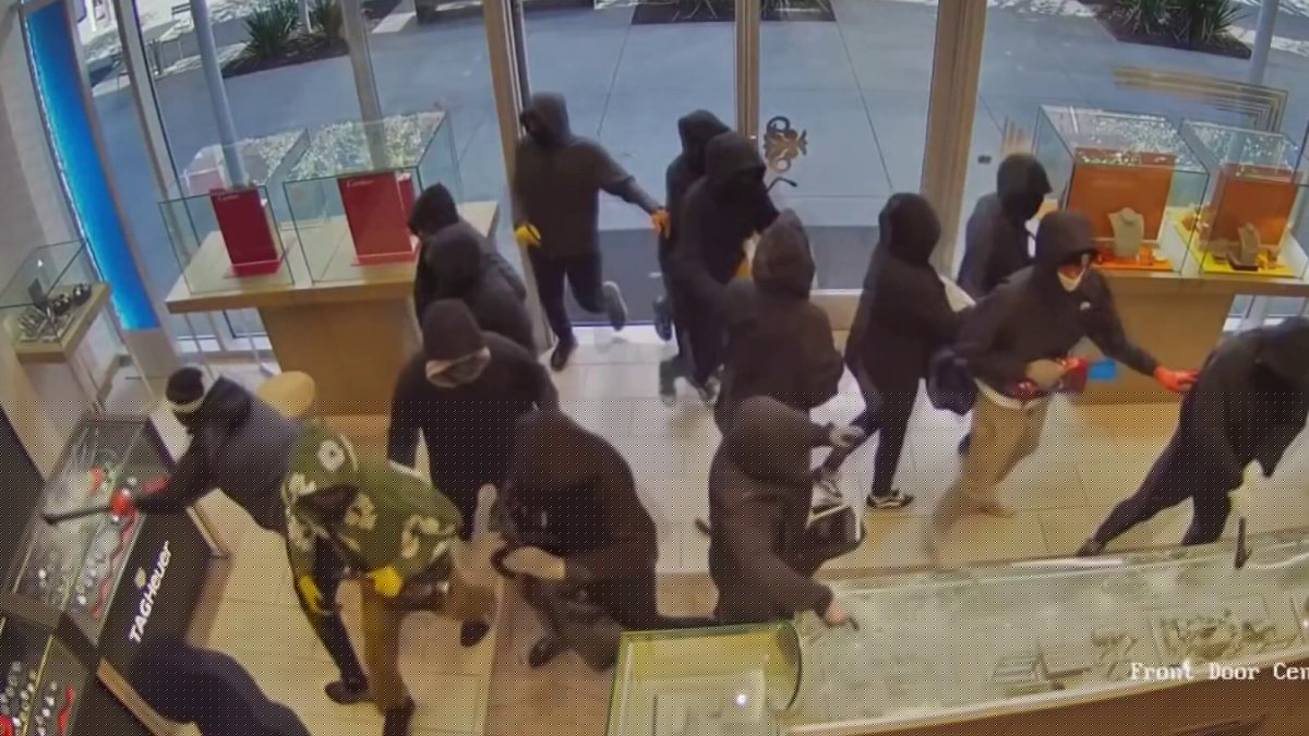 San Ramon smash-and-grab suspect facing 14 felony counts