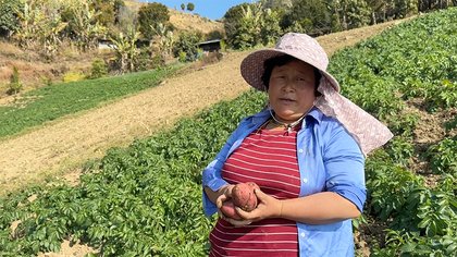 Winter potato farming brings income and opportunity to local women in Chulabi Village