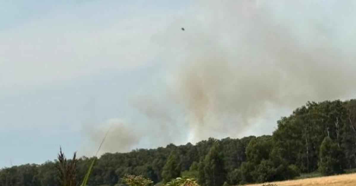 'Major incident' as over 80 firefighters battle nature reserve blaze