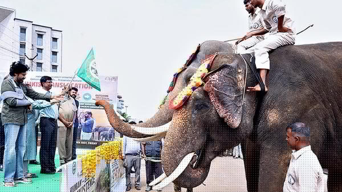 Elephants are guardians of our forests, says Pawan Kalyan on World Elephant Day