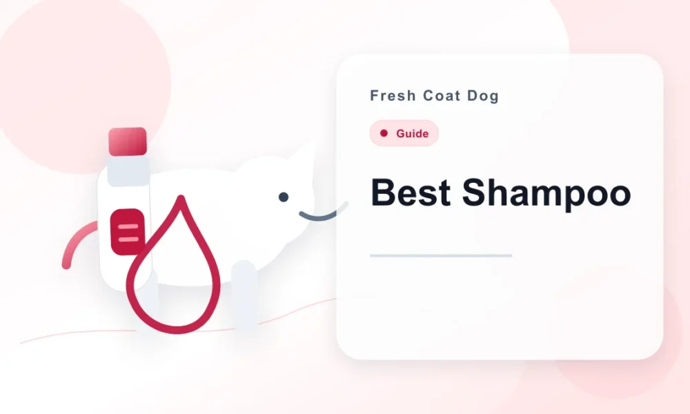 How to Read a Dog Shampoo Label: What to Look For and What to Skip