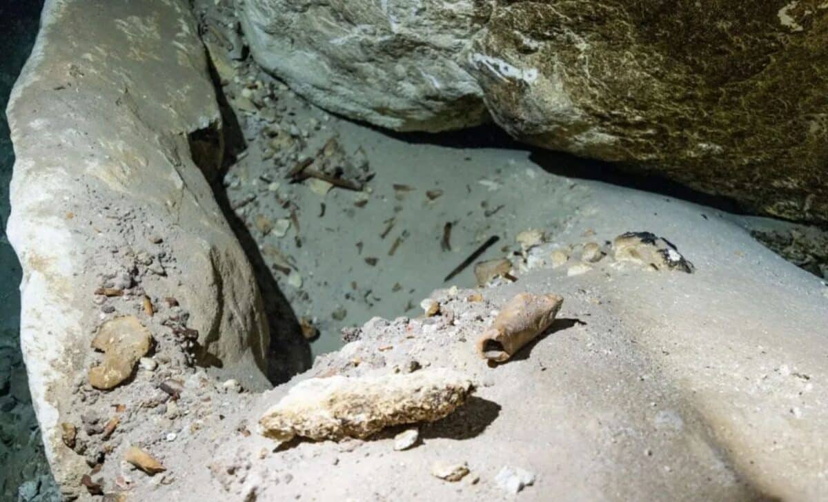 Scientists Found Ancient “Fingerprints” on Underwater Cave Bones That Reveal a Mystery Buried Beneath the Water