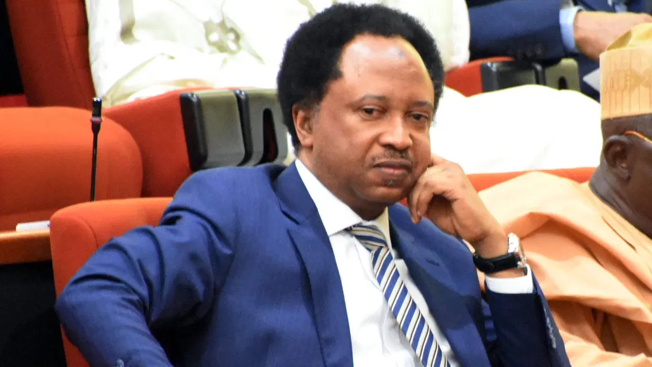 Shehu Sani to Davido: Dragging Trump into Nigeria’s elections waste of time