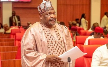 Next thing we may hear is Akpabio has been hijacked – Senator Ningi on US military airstrikes