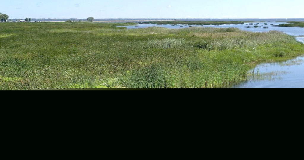 How people connect to the St. Louis River Estuary