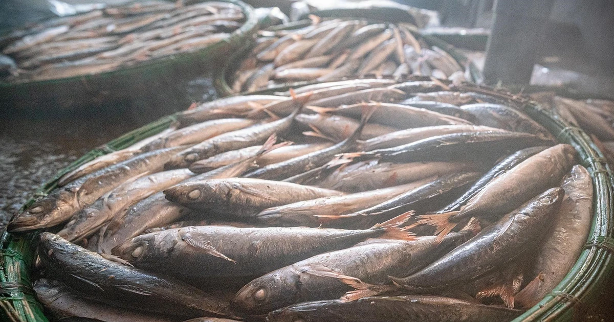 Quy Nhon fish-steaming village preserving the soul of the sea