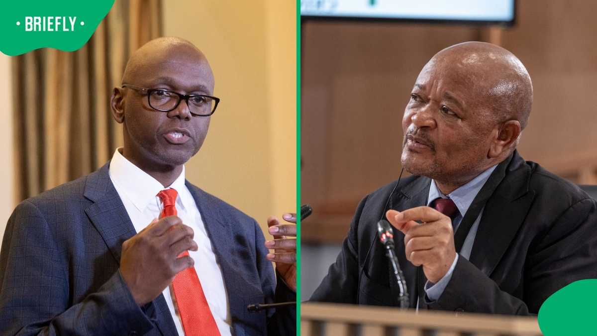 Madlanga Commission made finding against Senzo Mchunu: Presidency spokesperson