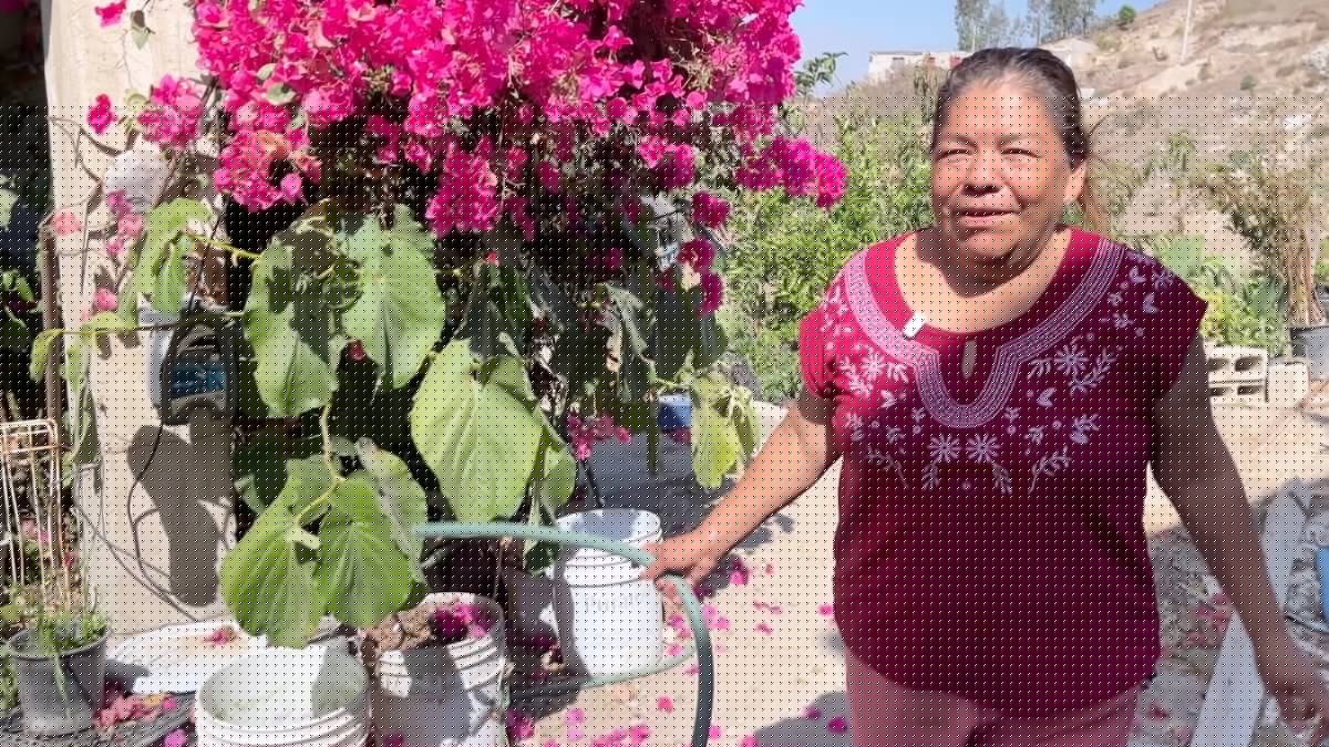 La falta de agua continúa afectando a miles de residentes de Tijuana
