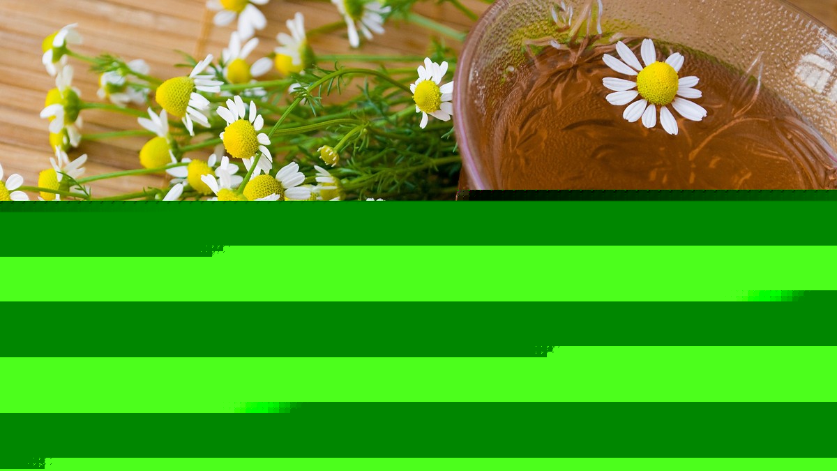 Prirodna "infuzija" pred spavanje: Večernji napitak koji ublažava upalu i obnavlja telo, kada ga je najbolje popiti