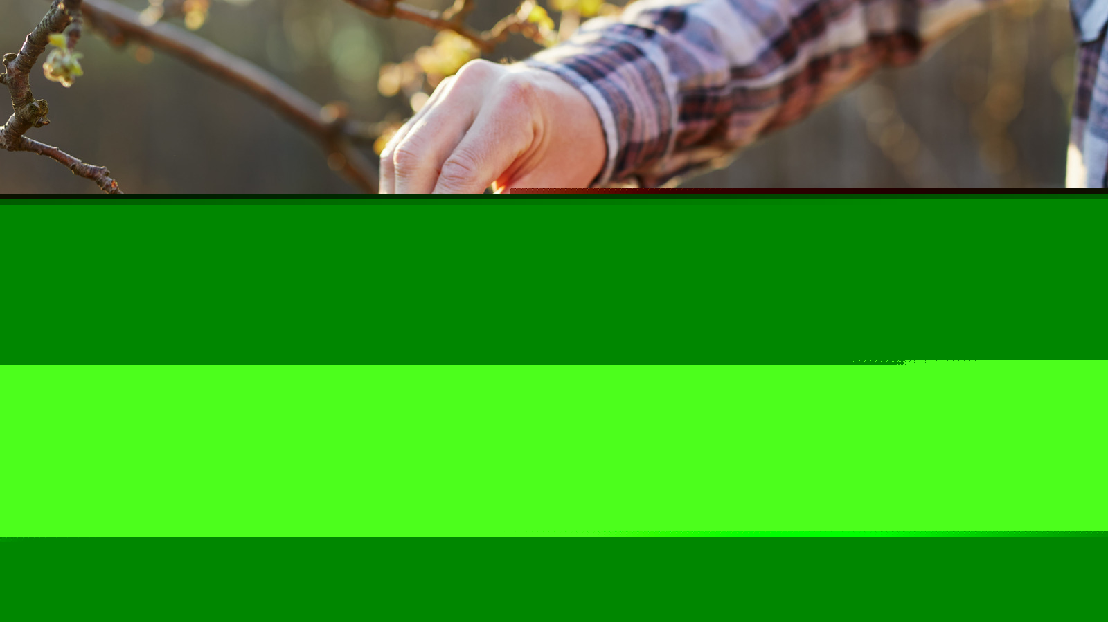 Garden Pruners Can Do A Lot More Than Tackle Your Plants
