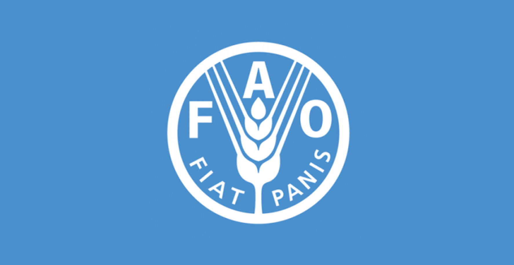 World food prices hit three-year high in July - FAO