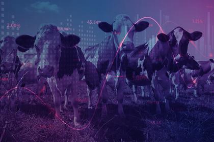 Weekly global protein digest: FDA chief warns of bird flu pandemic risk, updates on food labeling efforts