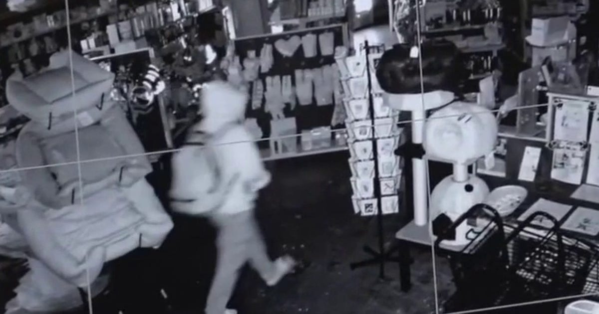 Burglar smashes window at longtime Fairfax District pet store